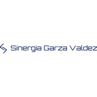 Sinergia Garza Valdez logo - Similar company to Eaj