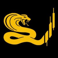 Cobra Trading Group logo - Similar company to Tradervue