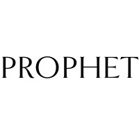 Prophet logo - Similar company to Finatech Holding