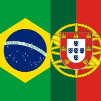 Portugués Clases Online logo - Similar company to Tgs Idiomas S.A.S.