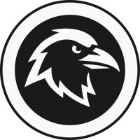 RAVENco. logo - Similar company to Slabsense