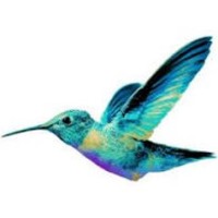 Event Nectar logo - Similar company to The Event Collective