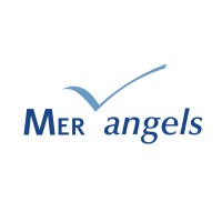Mer Angels logo - Similar company to Insa Angels