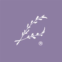 Hola Color® Branding & Papelería