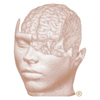 Innovative NeuroTechnologies, Inc. logo - Similar company to International Process Solutions Calibration Lab