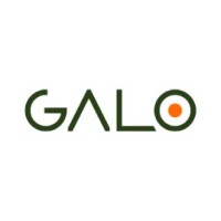 GALO logo - Similar company to Masterlogic