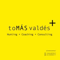 toMÁS valdés: Hunting + Coaching + Consulting logo - Similar company to Panul Analytic