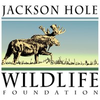 JACKSON HOLE WILDLIFE FOUNDATION logo - Similar company to Jackson Hole Conservation Alliance