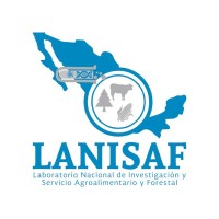 LANISAF logo - Similar company to Bodega De Vino