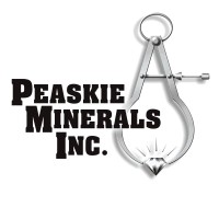 Peaskie Minerals Inc. logo - Similar company to Catapult Solutions Inc