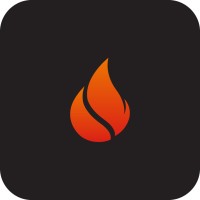 Fyre Agency logo - Similar company to Importrust