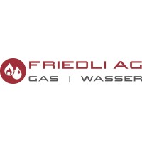 Friedli AG logo - Similar company to Friedli.Ag