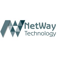 Netway Teknoloji logo - Similar company to Hitroas Sem Agency