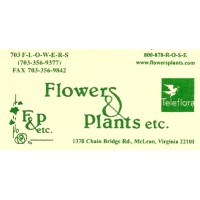 Flowers Plants Etc