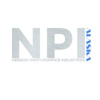 NPI logo - Similar company to Esscon Engineers Private Limited