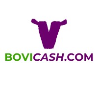 Bovicash.com logo - Similar company to Elevage Durable Services