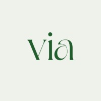 Via Financial logo - Similar company to Savvy Operations Support
