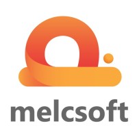 melcsoft logo - Similar company to Lifety