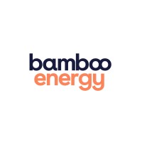 Bamboo Energy logo - Similar company to Flexidao