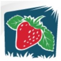 Allseasons Holland BV logo - Similar company to 1% Advisory & Coaching
