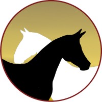 HORSI logo - Similar company to Bodywork 4 Horses