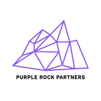 Purple Rock Partners logo - Similar company to Finsightic