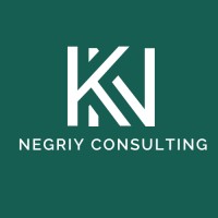 NEGRIY CONSULTING logo - Similar company to Eleteria