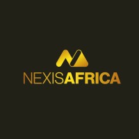 NexisAfrica logo - Similar company to Nexisa
