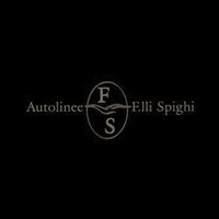 Autolinee F.lli Spighi S.r.l. logo - Similar company to Studio Ansaldi S.R.L.