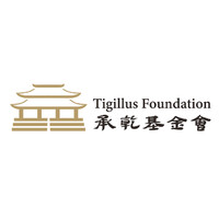 Tigillus Foundation logo - Similar company to Factionai