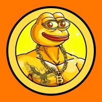 Bitcoin Pepe logo - Similar company to Svantero