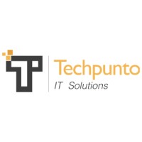 TechPunto S.A.R.L logo - Similar company to Dotzone Group