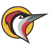 Papasay Value-Added Wood Products logo - Similar company to Aurora Constellations