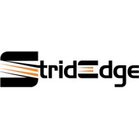 StridEdge Technolog Company logo - Similar company to Beyondmart - Web Solutions Company