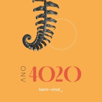 Ano 4020 logo - Similar company to Pangera, Mundo Sem Idade