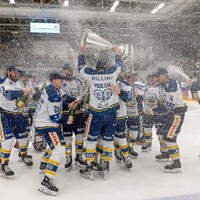Herning Blue Fox logo - Similar company to Aalborg Pirates