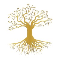 KAMREF TECHNOLOGY logo - Similar company to Shamssoftware
