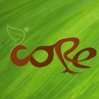 Core Relationship Recovery