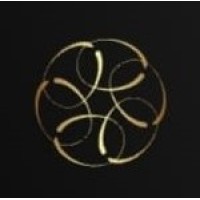 GCH Operational Excellence logo - Similar company to Uvison Technologies