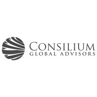 Consilium Global Advisors logo - Similar company to The Draft