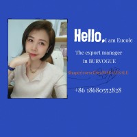 Burvogue Clothing Co.,Ltd logo - Similar company to Dc Garment Co.,Limited