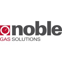 Noble Gas Solutions logo - Similar company to Bemes, Inc