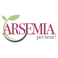 Arsemia logo - Similar company to Bdr Global