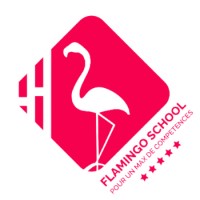 Flamingo School logo - Similar company to Lh Communication
