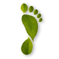 The Greater Nilambur Initiative-tgni.org logo - Similar company to Accentia Consulting