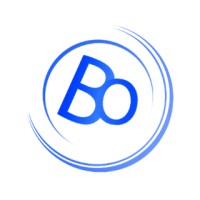 Bridgeorder app logo - Similar company to Chacebyte Technologies Limited