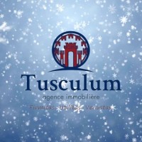 TUSCULUM logo - Similar company to Realtech Rt