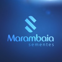 Marambaia Sementes logo - Similar company to Marambaia Alimentos