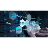 Web Developer / SEO Expert / WordPress logo - Similar company to Web Developer And Digital Marketer