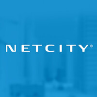Netcity Oficial logo - Similar company to Enerlogix Solutions